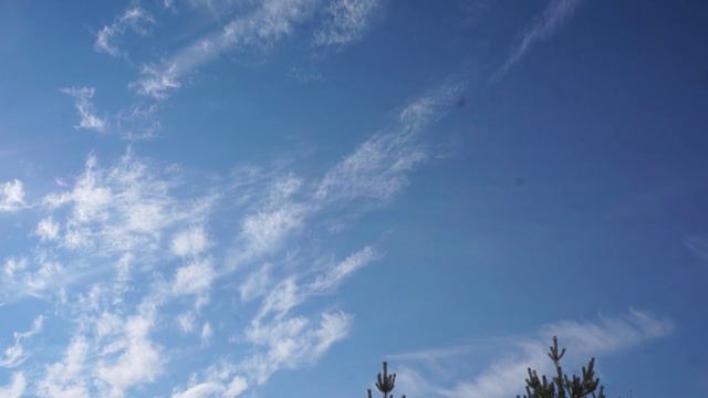 О музыка ...
Видеопоэзия. Читает автор А. Шведун. 
Видео, монтаж, соло-гитара О. Дзиов.