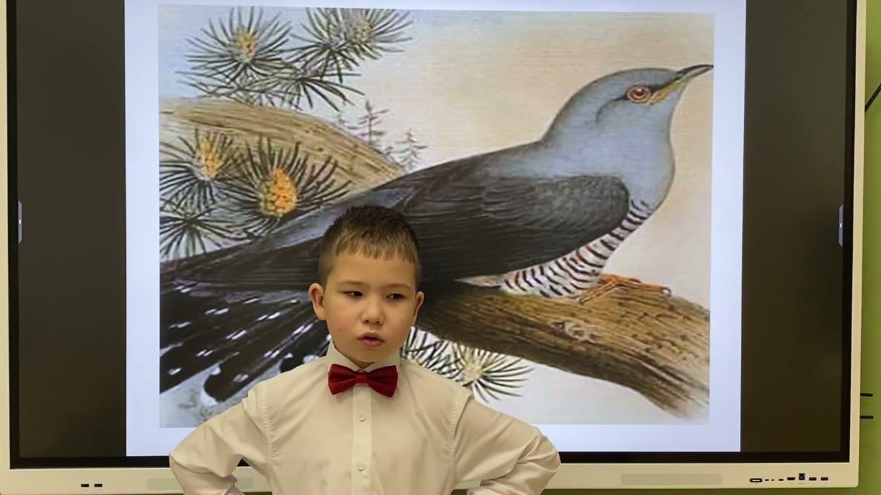 Конкурс "Красная ромашка". Участник №290 - Гимадиев Назар, 6 лет, г. Казань