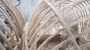 УРГУТ! УЗБЕКСКИЙ БАЗАР! УЗБЕКИСТАН! @ranokamolova