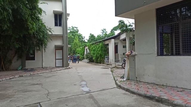 Tree Plantation @GIT 2021 смотреть онлайн