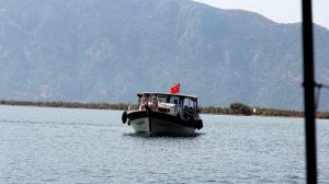 Экскурсия по реке Дальян в Турции. Черепахи и голубые крабы. Tour of the Dalyan river in Turkey.