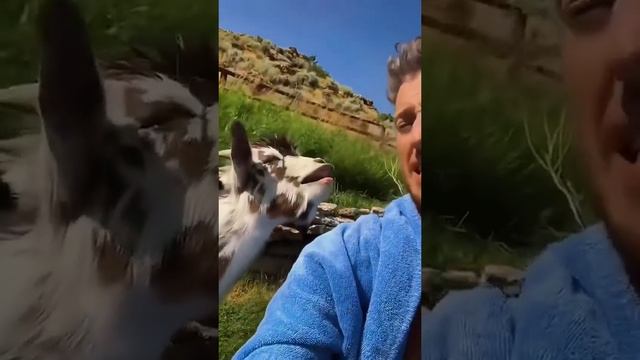 два козла поговорили по душам))) смотреть онлайн