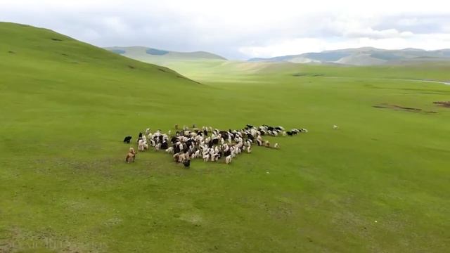 влог 1\ что нового \какие цели на этот месяц! смотреть онлайн