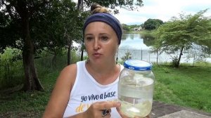 Чесночная Вода Для Орхидей/Как Я Её Делаю