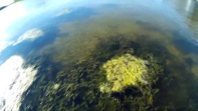 ДЕНЬ ШНУРКА! Рыбалка на щуку в мелкой речке. Рыбалка на спиннинг. смотреть онлайн