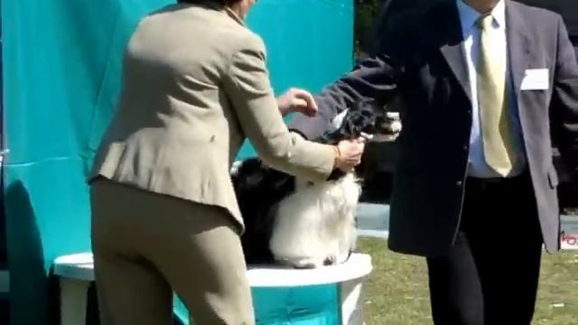 MOV08796 ВЫставка в Добре място.01.05.2013 .Польша Рэйчел смотреть онлайн