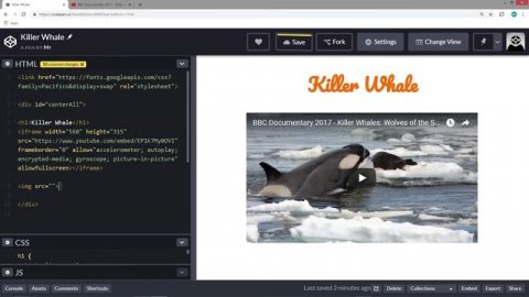 Lesson 19 - Codepen: Add Video & Pictures