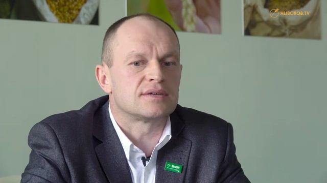 Сложилась такая ситуация, что необходимо посеять подсолнечник по подсолнечнику.