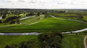 🐻 Таежные истории - медведь защитил всю деревню. Удивительные истории. Ликбез, случай в тайге