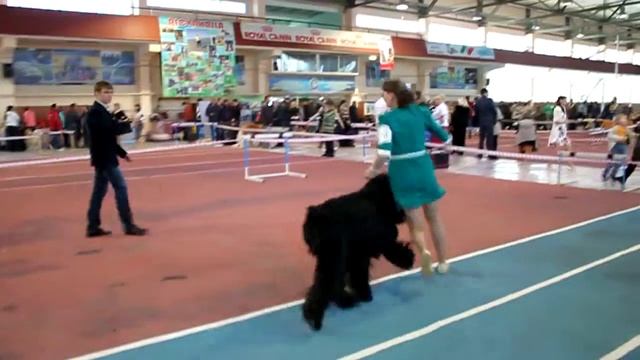 Караганда 21.03.2015г. Кузя и Наташа в ринге. смотреть онлайн