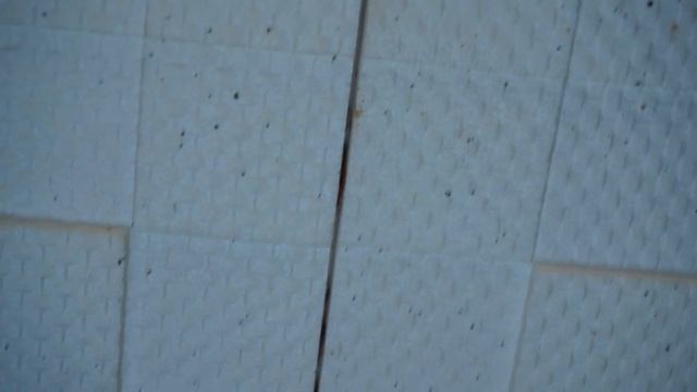 Уничтожение клопов в квартире. Клоповник. МирДез (2022г) 19 смотреть онлайн