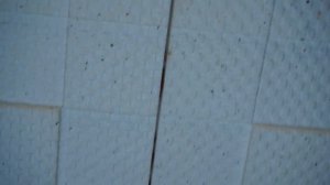 Уничтожение клопов в квартире. Клоповник. МирДез (2022г) 19