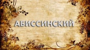 Абиссинский ? - что такое Абиссинский и как пишется слово Абиссинский