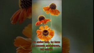 С добрым утром! Христианское пожелание!