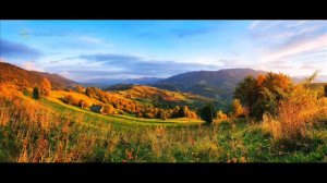 Дмитро Гнатюк - Любисток