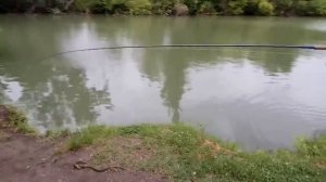 Рыбалка в Краснодаре (Улов которого не ожидали)