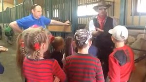 Увлекательный рассказ о лошадках )))