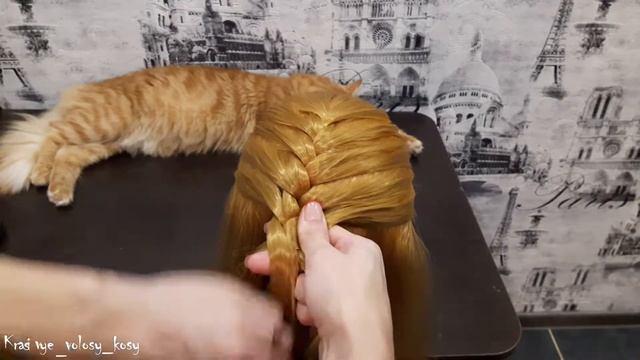 Классический колосок