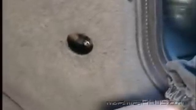 Afinación Ford Ka 2005 1.6 L. - Desconectando la bomba de gasolina 1 смотреть онлайн