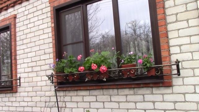 Заполняем полки цветами.#подставкадляцветов #подставкаподцветы #своимируками #ковка #холоднаяковка