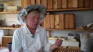 ОТ БОРТНИЧЕСТВА К ПЧЕЛОВОДСТВУ