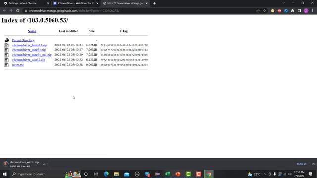Selenium WebDriver with Java Tutorial 5 - How to fix | Org.openqa.seleniumSessionNotCreatedExceptio