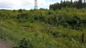 100КМ НА ГОРНОМ ВЕЛОСИПЕДЕ