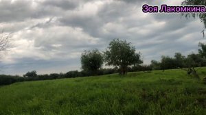 Влог // 2 е суток на рыбалке // спим в палатке /Старые Карачи р. Омь/щука взяла на кукурузу#respect