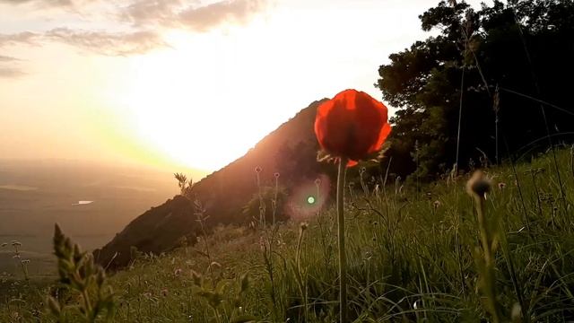 Закат на горе Верблюд в регионе Кавказских Минеральных Вод смотреть онлайн