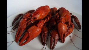 Ловля раков на раколовки (на речке)