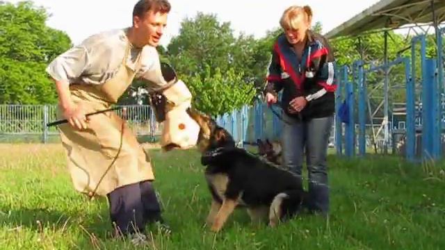 Lola_13 training protection .wmv смотреть онлайн