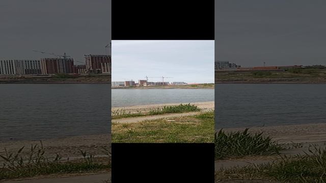 Пруд нашего микрорайона