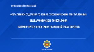 Незаконная вырубка «новогодних деревьев» под контролем