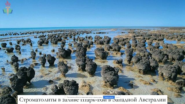 История Земли