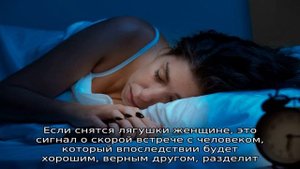 К чему снятся лягушки. Толкования популярных сонников