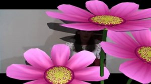 Осенняя заготовка земли для весенней рассады а также о профилактической дезинфекции земли