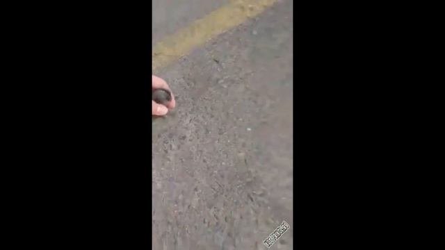 Я РЖАЛ ДО СЛЕЗ 😂 1 МИНУТА ПРИКОЛОВ ЗАСМЕЯЛСЯ ПОДПИСАЛСЯ | ТЕСТ НА ПСИХИКУ лютые приколы 2023