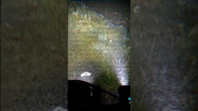 Sur ron X - Туманная ночь смотреть онлайн