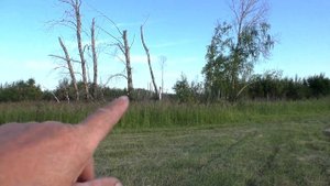 Сенокос в селе помогаю другу собрать сено пресс-подборщиком