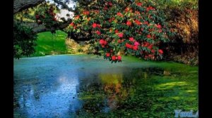 Смотри самые красивые картинки мира в одном видео)