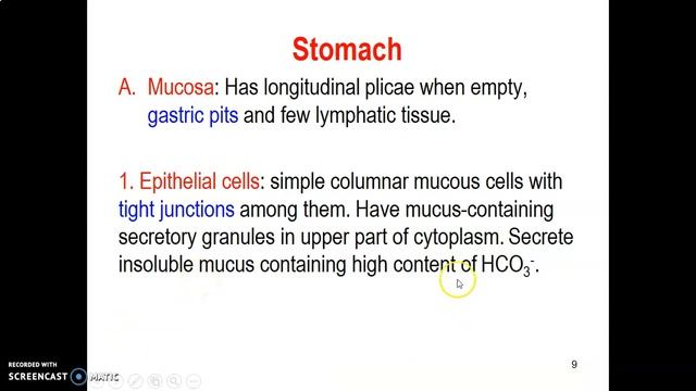 HISTOLOGY OF THE GASTROINTESTINAL TRACT (GIT)_ Anatomy Book Club смотреть онлайн