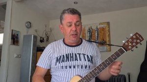 Harley Benton,Traveler-E-Steel Guitar,обзор инструмента для путешествий.