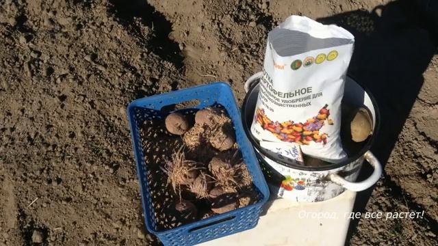 Что можно посеять и посадить в июле.mp4 смотреть онлайн