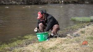 Прикормка весной