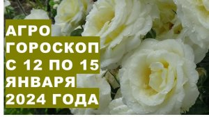 Агрогороскоп с 12 по 15 января 2024 года. Agrohoroscope from January 12 to 15, 2024