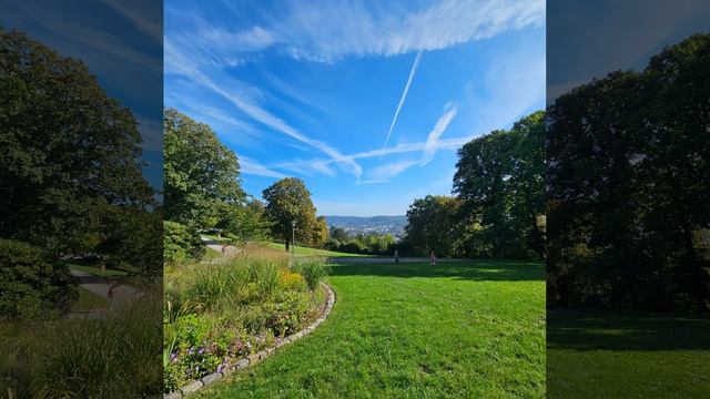 10 ноября 2023 г.