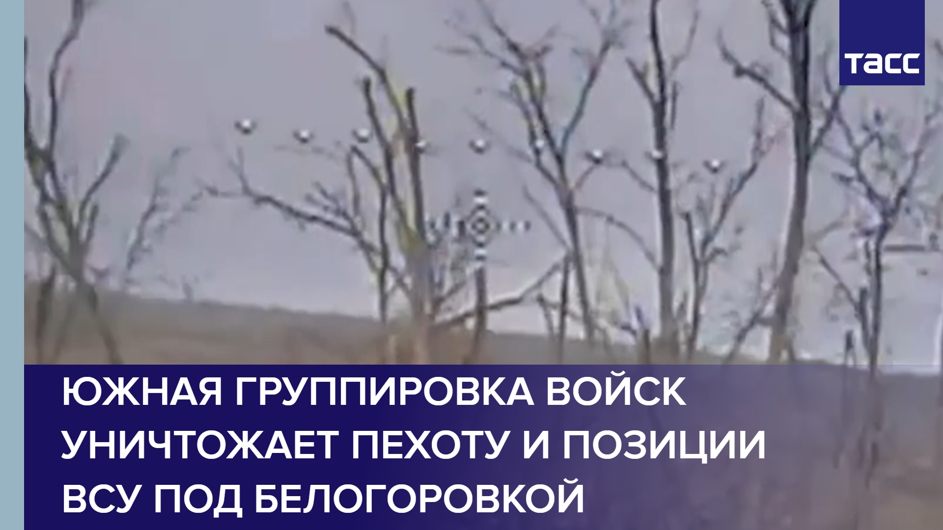 Южная группировка войск уничтожает пехоту и позиции ВСУ под Белогоровкой