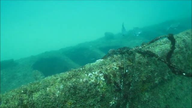 The Barge Wreck Portugal Lagos Scuba Divin смотреть онлайн