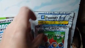Фунгициды в борьбе с грибковыми заболеваниями растений.