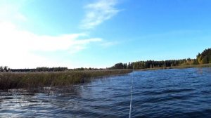 Рыбалка На Спиннинг!  Ловля Крупной Щуки На #rapala